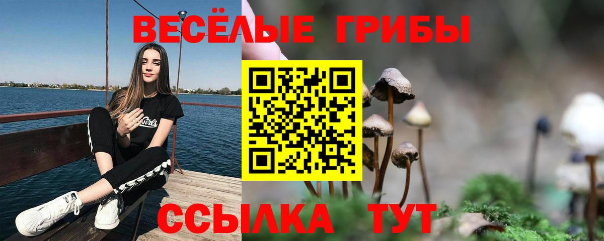 Бошки Шишки  Экстази  COCAIN  МЕФ кристаллы  Купить наркотик  Воркута  Вход с VPN  ГАШ  Гашиш 